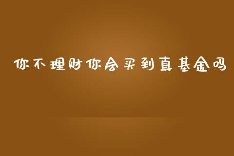 你不理财你会买到真基金吗_https://www.apanben.com_国际财经_第1张