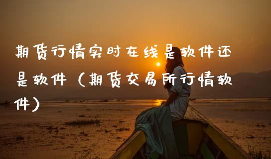期货行情实时在线是软件还是软件（期货交易所行情软件）_https://www.apanben.com_在线喊单_第1张