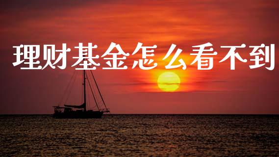 理财基金怎么看不到_https://www.apanben.com_财经资讯_第1张