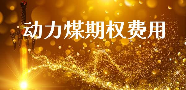 动力煤期权费用_https://www.apanben.com_股票怎么玩_第1张