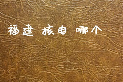 福建 核电 哪个_https://www.apanben.com_期货学院_第1张