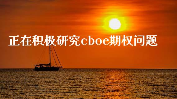 正在积极研究cboe期权问题_https://www.apanben.com_股市分析_第1张