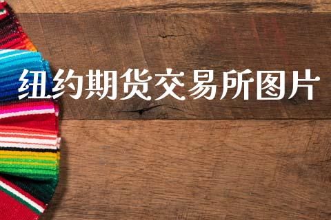 纽约期货交易所图片_https://www.apanben.com_国际财经_第1张
