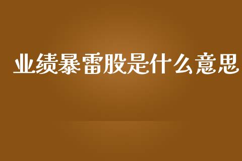 业绩暴雷股是什么意思_https://www.apanben.com_期货学院_第1张
