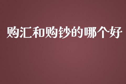 购汇和购钞的哪个好_https://www.apanben.com_国际期货_第1张
