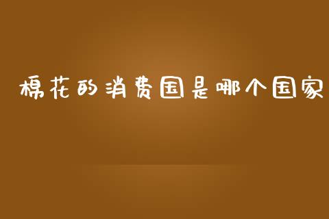 棉花的消费国是哪个国家_https://www.apanben.com_国际财经_第1张