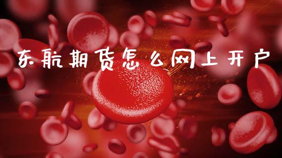 东航期货怎么网上开户_https://www.apanben.com_股票怎么玩_第1张