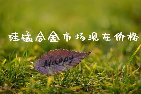 硅锰合金市场现在价格_https://www.apanben.com_股市指导_第1张