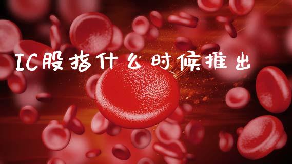 IC股指什么时候推出_https://www.apanben.com_在线喊单_第1张