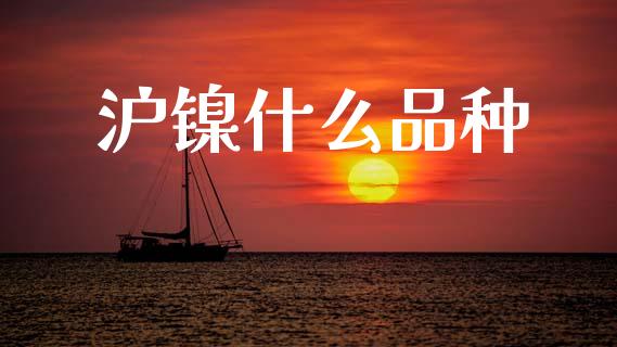 沪镍什么品种_https://www.apanben.com_国际期货_第1张