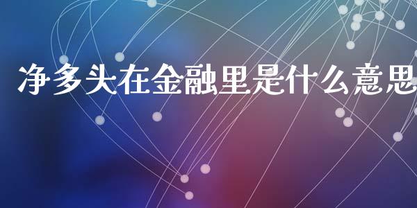 净多头在金融里是什么意思_https://www.apanben.com_股市指导_第1张