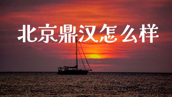 北京鼎汉怎么样_https://www.apanben.com_股市指导_第1张