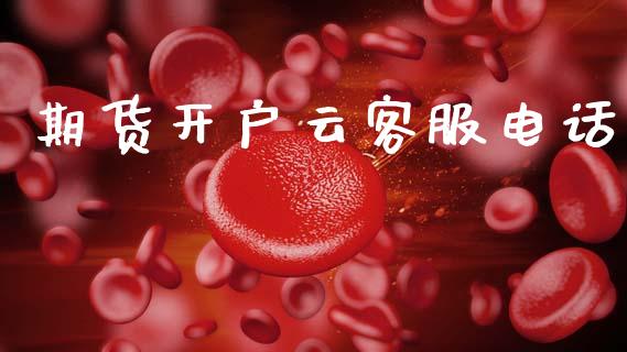 期货开户云客服电话_https://www.apanben.com_期货学院_第1张