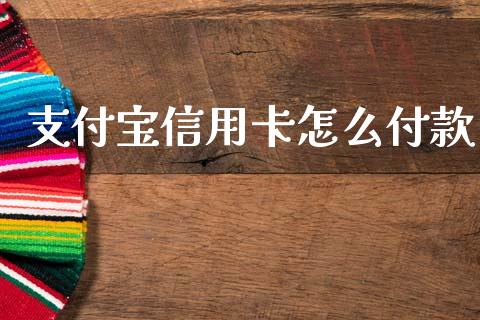 支付宝信用卡怎么付款_https://www.apanben.com_国际财经_第1张