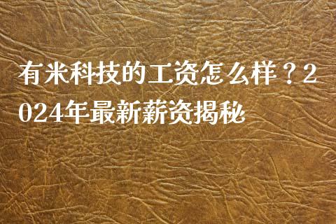 有米科技的工资怎么样？2024年最新薪资揭秘_https://www.apanben.com_股市分析_第1张