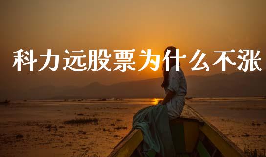 科力远股票为什么不涨_https://www.apanben.com_国际期货_第1张