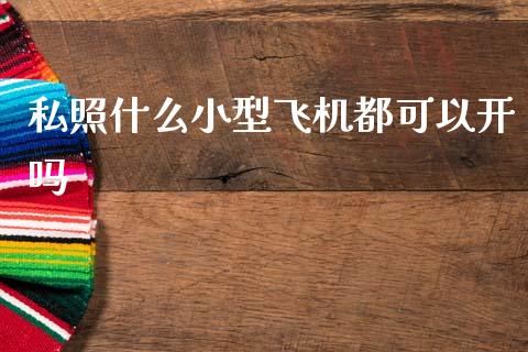 私照什么小型飞机都可以开吗_https://www.apanben.com_国际期货_第1张