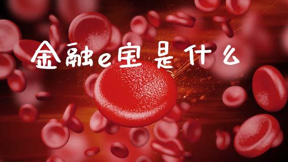 金融e宝是什么_https://www.apanben.com_期货学院_第1张
