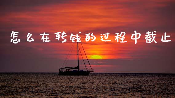 怎么在转钱的过程中截止_https://www.apanben.com_国际期货_第1张