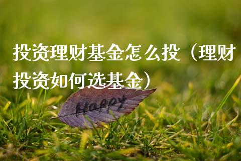 投资理财基金怎么投（理财投资如何选基金）_https://www.apanben.com_财经资讯_第1张