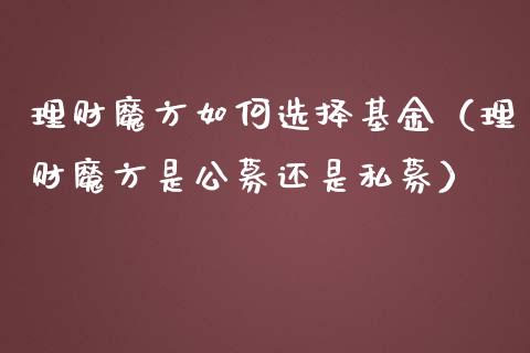 理财魔方如何选择基金（理财魔方是公募还是私募）_https://www.apanben.com_国际财经_第1张