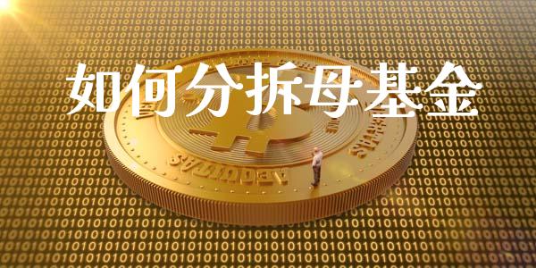 如何分拆母基金_https://www.apanben.com_国际财经_第1张