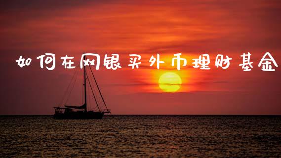 如何在网银买外币理财基金_https://www.apanben.com_财经资讯_第1张