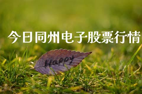 今日同州电子股票行情_https://www.apanben.com_股市指导_第1张