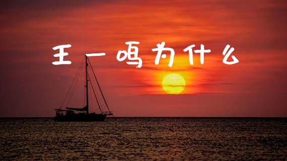 王一鸣为什么_https://www.apanben.com_国际期货_第1张