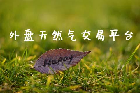 外盘天然气交易平台_https://www.apanben.com_期货学院_第1张
