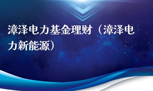 漳泽电力基金理财（漳泽电力新能源）_https://www.apanben.com_国际财经_第1张