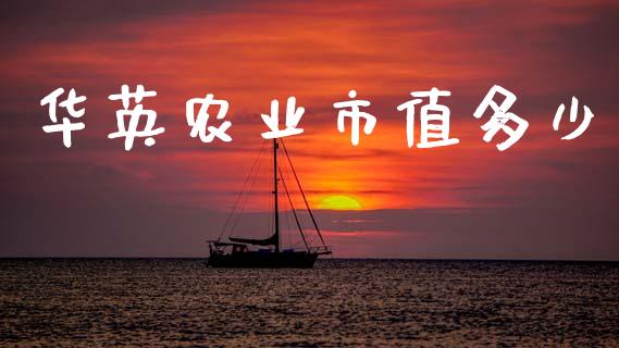 华英农业市值多少_https://www.apanben.com_股市指导_第1张