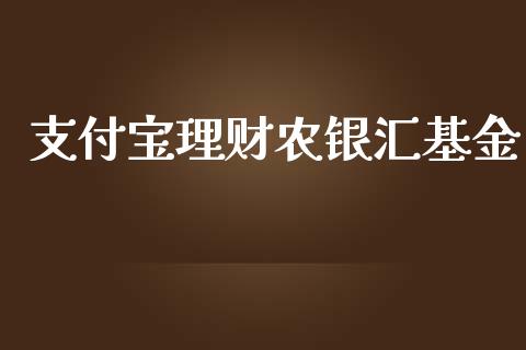 支付宝理财农银汇基金_https://www.apanben.com_财经资讯_第1张
