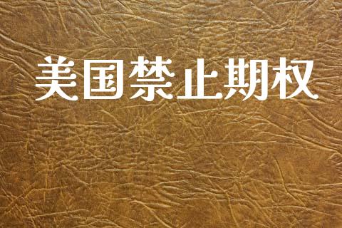 美国禁止期权_https://www.apanben.com_期货学院_第1张