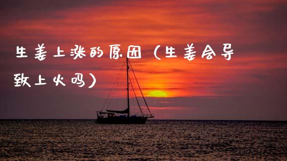 生姜上涨的原因（生姜会导致上火吗）_https://www.apanben.com_期货学院_第1张