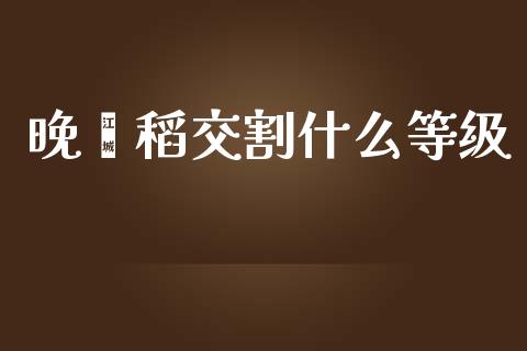 晚籼稻交割什么等级_https://www.apanben.com_期货学院_第1张