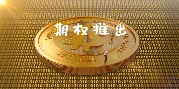 期权推出_https://www.apanben.com_国际期货_第1张
