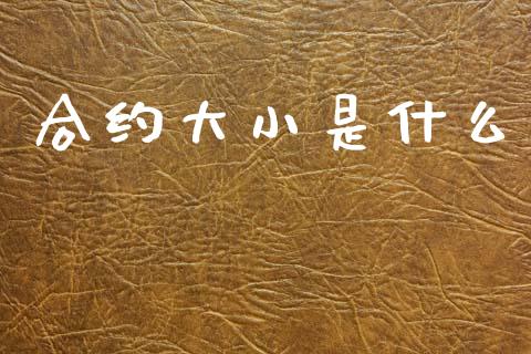 合约大小是什么_https://www.apanben.com_股票怎么玩_第1张