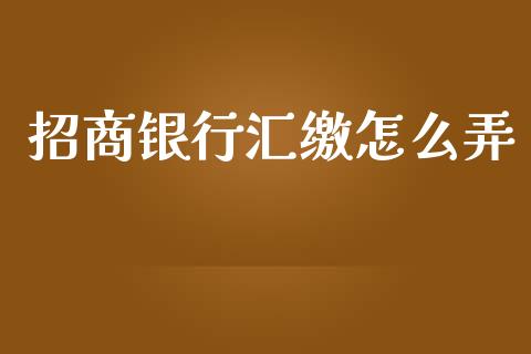 招商银行汇缴怎么弄_https://www.apanben.com_股票怎么玩_第1张