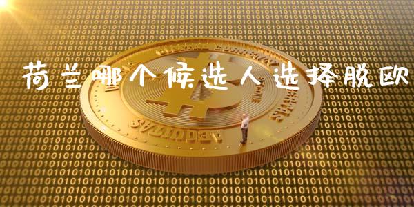 荷兰哪个候选人选择脱欧_https://www.apanben.com_股市指导_第1张