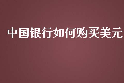 中国银行如何购买美元_https://www.apanben.com_股市指导_第1张