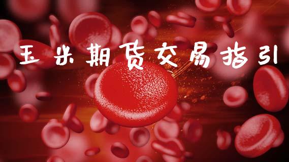 玉米期货交易指引_https://www.apanben.com_国际财经_第1张