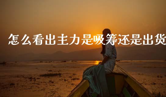 怎么看出主力是吸筹还是出货_https://www.apanben.com_股市指导_第1张