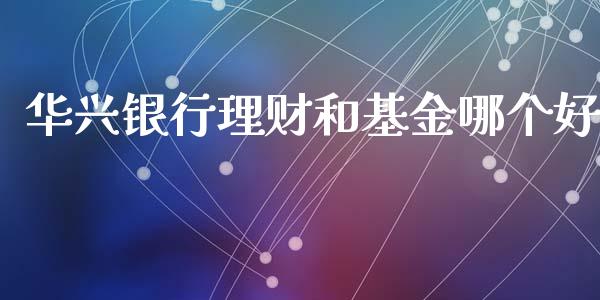 华兴银行理财和基金哪个好_https://www.apanben.com_国际财经_第1张
