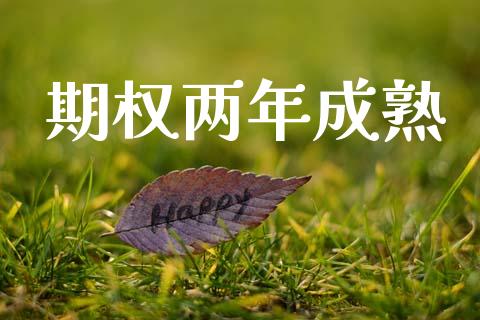 期权两年成熟_https://www.apanben.com_国际财经_第1张