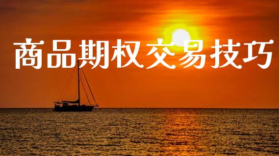商品期权交易技巧_https://www.apanben.com_国际期货_第1张