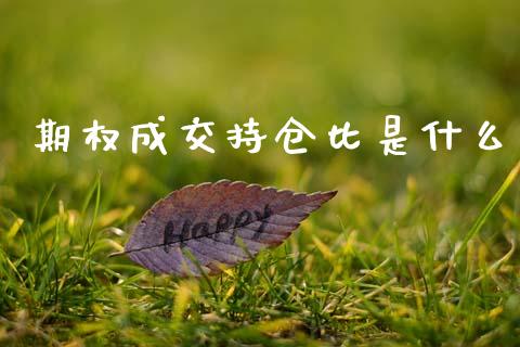 期权成交持仓比是什么_https://www.apanben.com_股市分析_第1张
