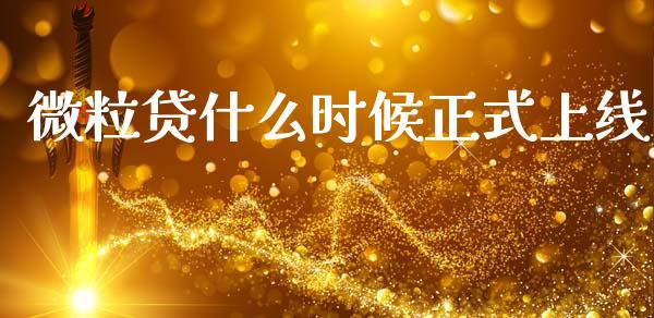 微粒贷什么时候正式上线_https://www.apanben.com_期货学院_第1张