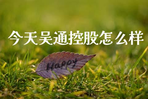 今天吴通控股怎么样_https://www.apanben.com_财经资讯_第1张