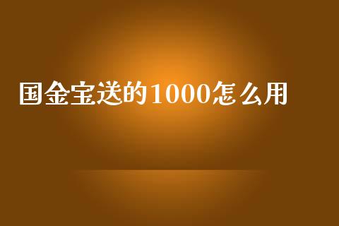 国金宝送的1000怎么用_https://www.apanben.com_国际财经_第1张